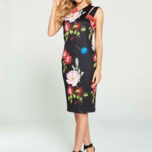 ted baker berry dress